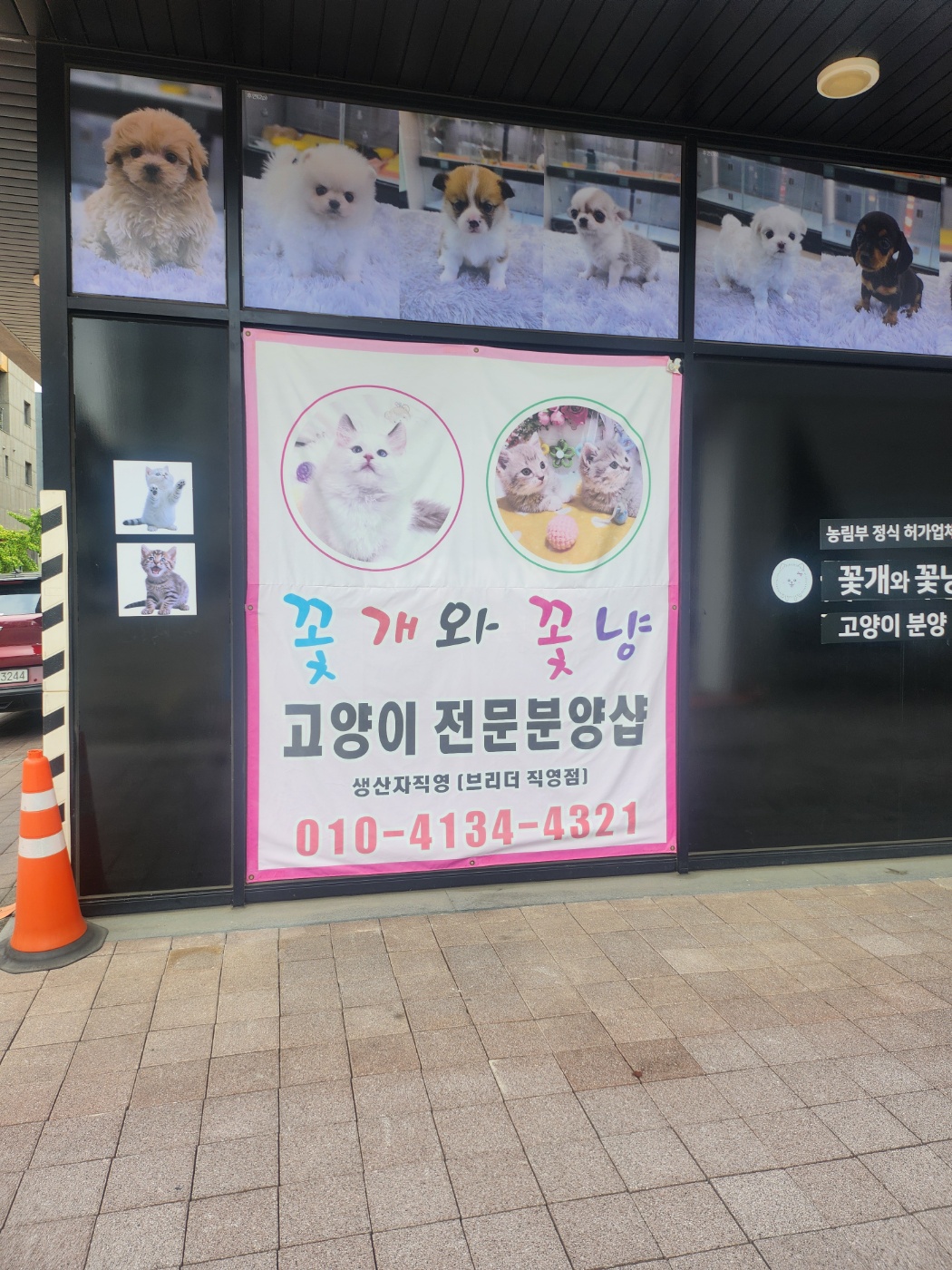 꽃개와꽃냥 인천 청라점 사례 이미지