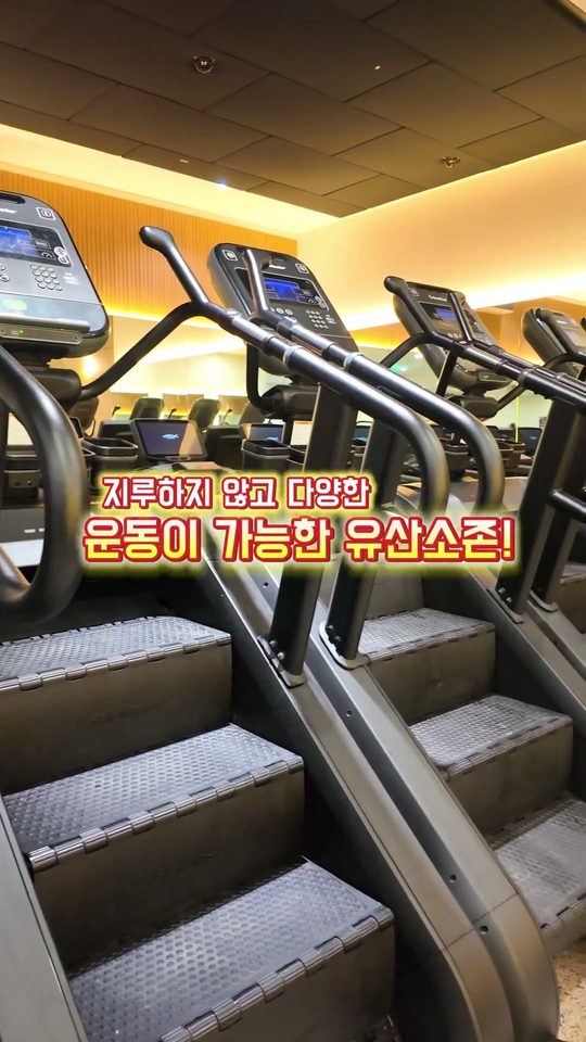 백퍼센트짐 영상 미리보기